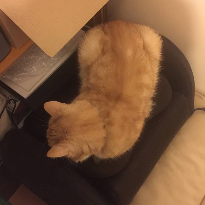 C8aaae04 98ce 4827 84c8 7bd058ae1433 1553011011545