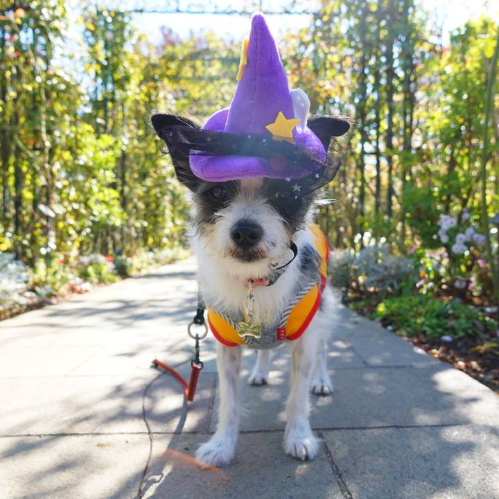 C8aac614 e9d5 46a9 895c fbf2d6f7cd11 1540893964123