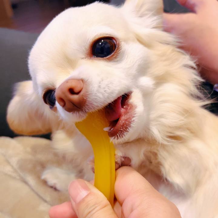 C8aae459 6af4 4280 a8a3 67e6b2018583 1705827075233