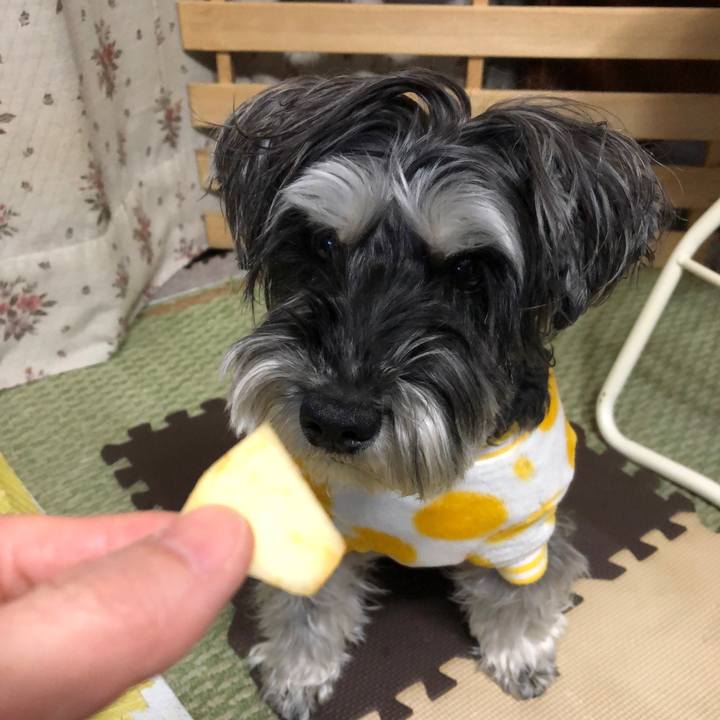 C8ab0433 f1b8 4c11 81d9 ff8f2c91bbce 1707485654903