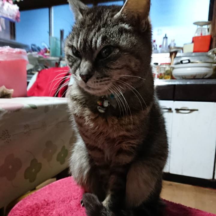 C8ab1bfb 4572 412f a5bb 3ea21b0f2a3b 1554409714179