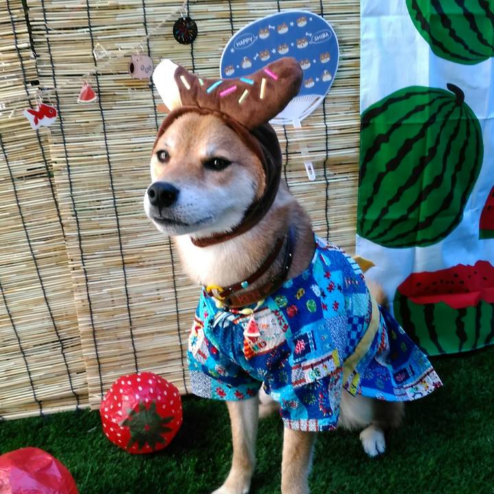 C8ab33b0 ebec 40a9 b841 48e91e46663d 1533356105089