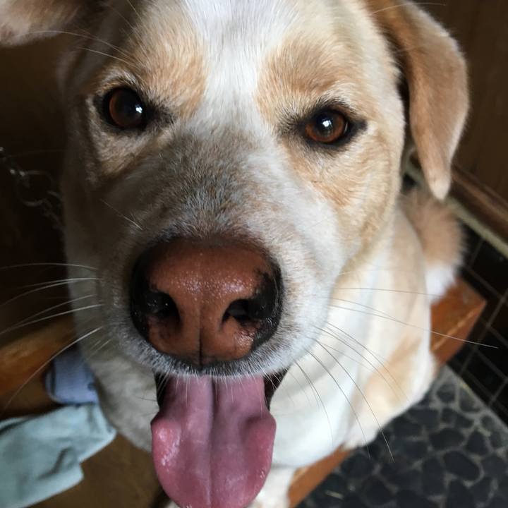 C8ab7000 bb71 4683 85a0 9ed83479ca03 1527461552364