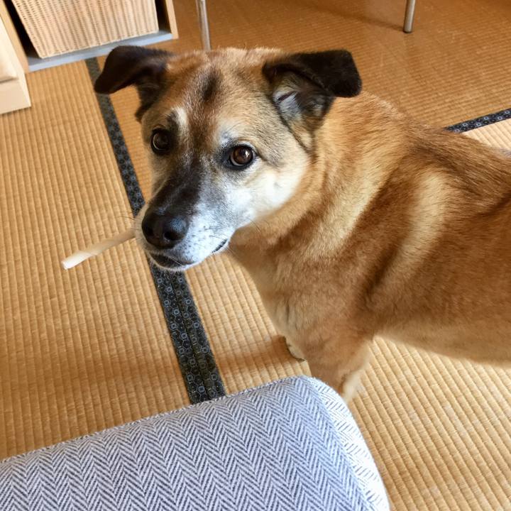 C8aba9ac 460f 43e5 8c00 182b5098eb19 1526036970028