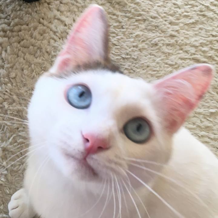 C8abc053 9878 431d ad49 f2aa12d4fc81 1514032289538