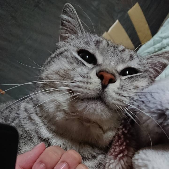 C8ac22a6 c571 4e8c a33c c7b6ce647775 1522677048858