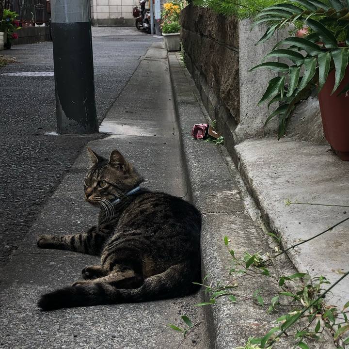 C8ac240d 76bc 4c77 a5d4 f27b7ed60a78 1560604761186