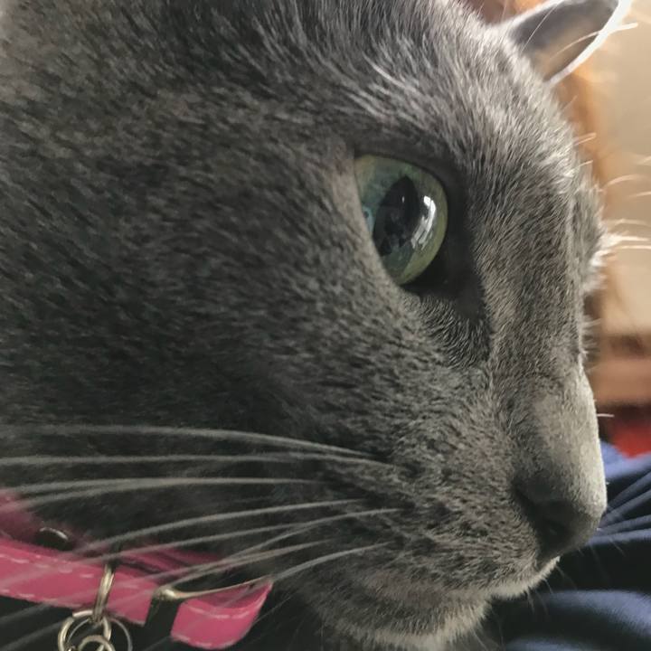 C8ac344c 734c 4bd6 91be 9eeeb45d10c2 1527290179762