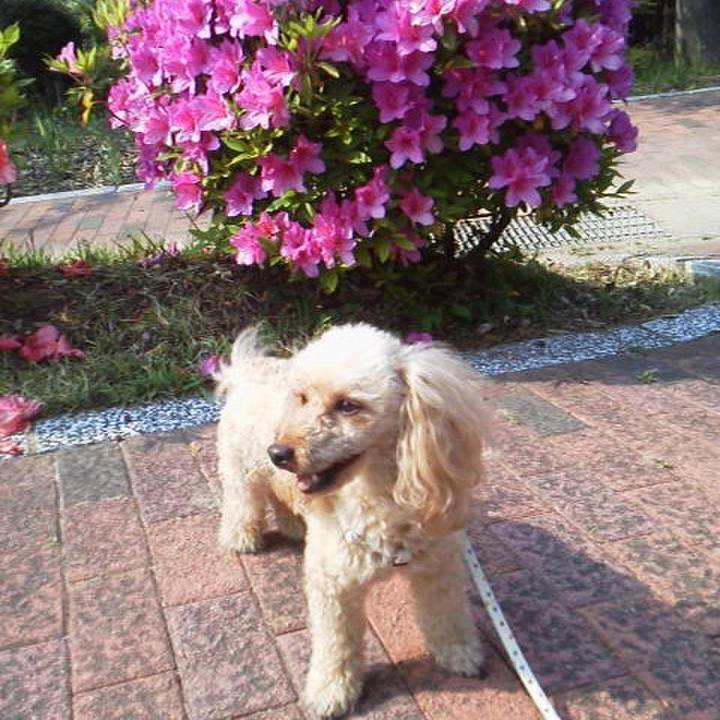 C8ac8dd2 1dda 4cdb b029 11faaa91afad 1524827135677