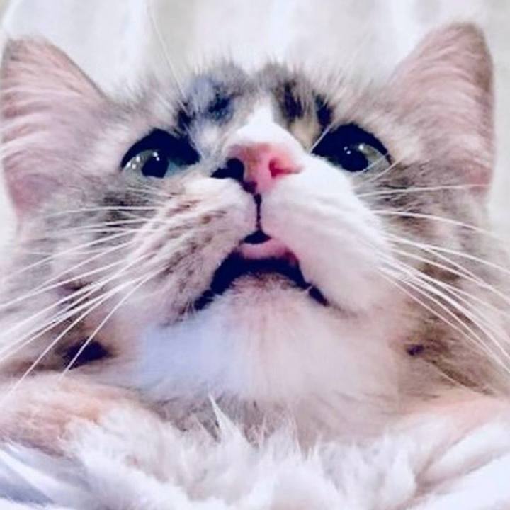 C8ac9488 2484 4e6d 9e0b 879d43e7ae5e 1759073066494