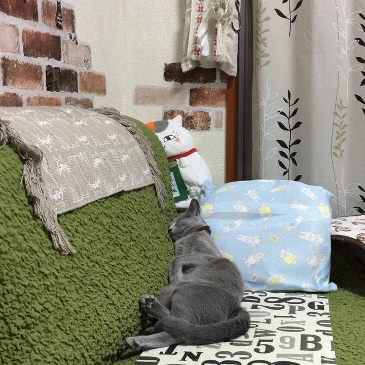 C8aca026 0648 4ba5 868c 31fa81446b5b 1530052790062