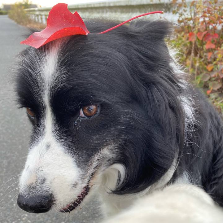 C8acc243 d299 4abb aa88 42222d59d9d2 1635555567705