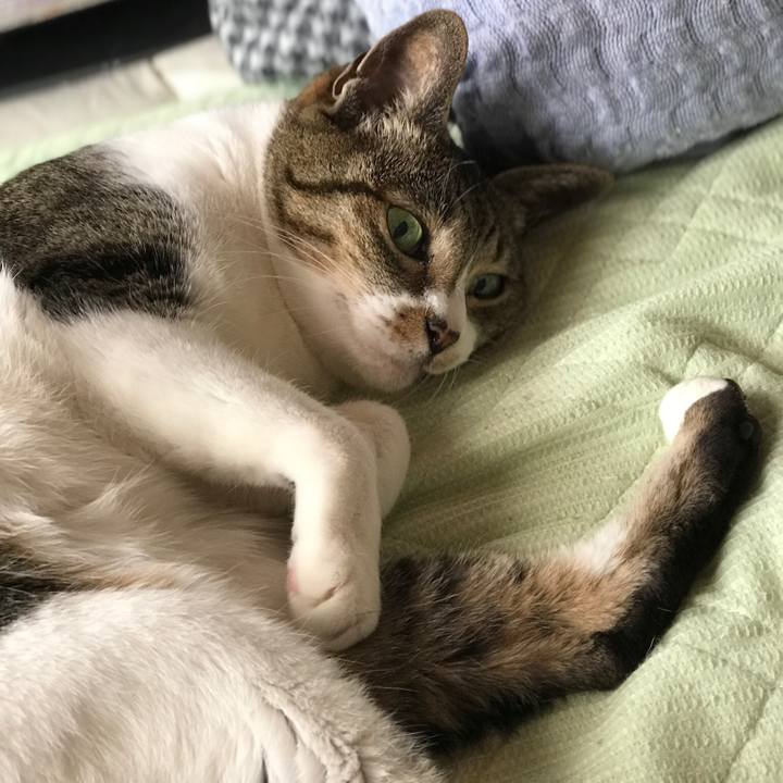 C8accf13 3171 4195 8c97 a5239ddeb40b 1525655058520