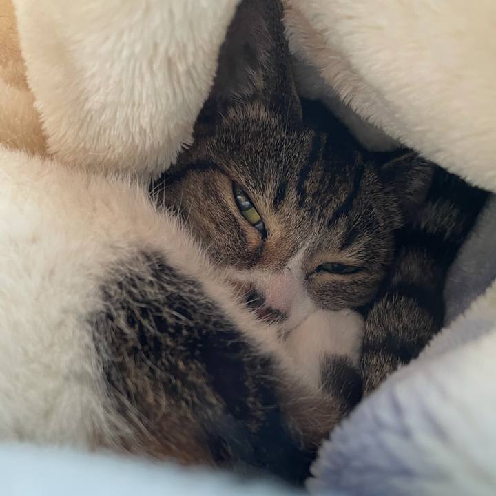 C8accf3e 30ad 426b 899a 9569e6dcb6ce 1608170215317