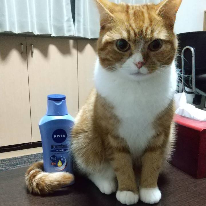 C8ad04a1 620d 4795 ac2e 40a59acc4921 1643891819596