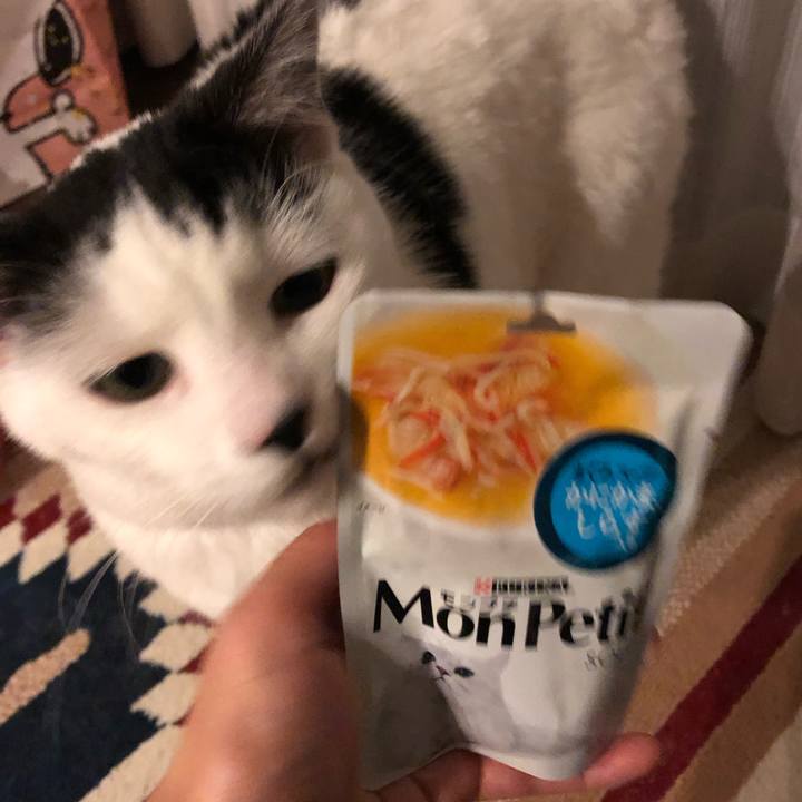 C8ad0538 76b8 47fc 9322 39318604523d 1545739992709