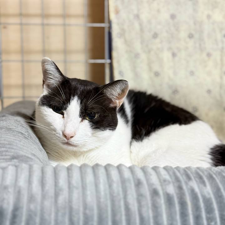 C8ad1607 991c 4cc7 a55a 39861aa955ca 1730942949003