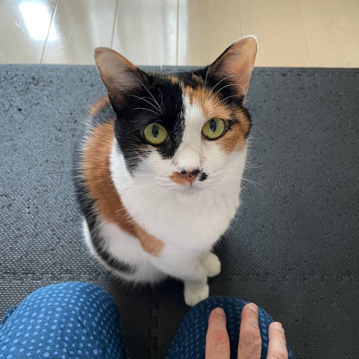 C8ad1821 1744 4388 aeb8 b82813c84316 1756122714951