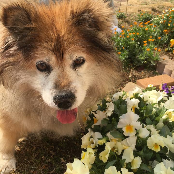 C8ad2c05 2bab 4cb6 8d65 ebbff21b4e09 1552367055461