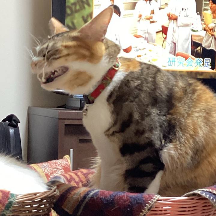 C8ad2c6b c798 4a20 b623 be7221c40fb0 1674959488769