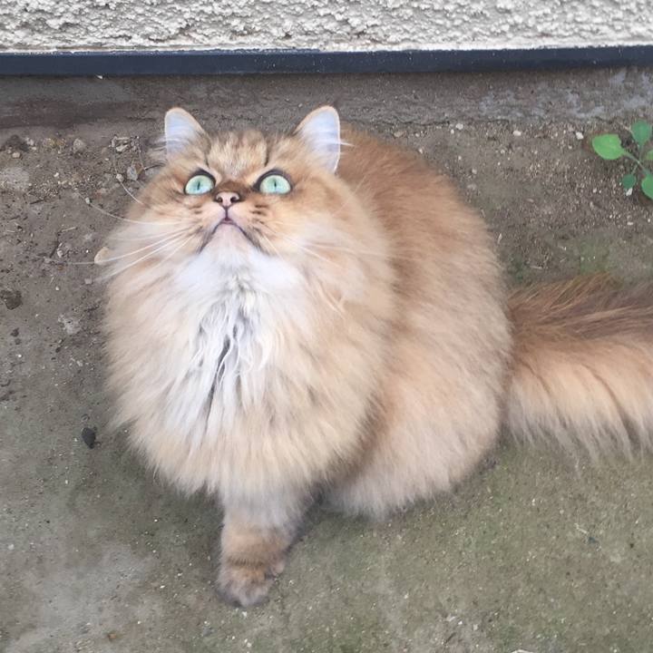 C8ad5e04 9d84 4264 aac9 3034b1ab873a 1569731703011