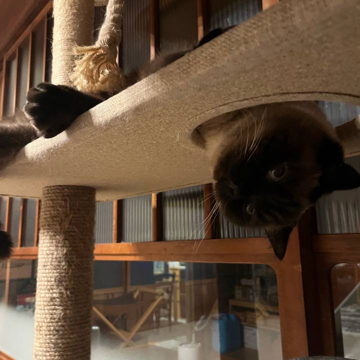 C8ad6a85 280c 4f88 b0d0 0b8ee4ba50b0 1672833509139