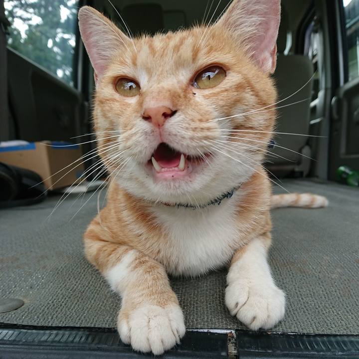 C8ad7436 0e68 4b44 ac36 877f88b38c37 1563605696732