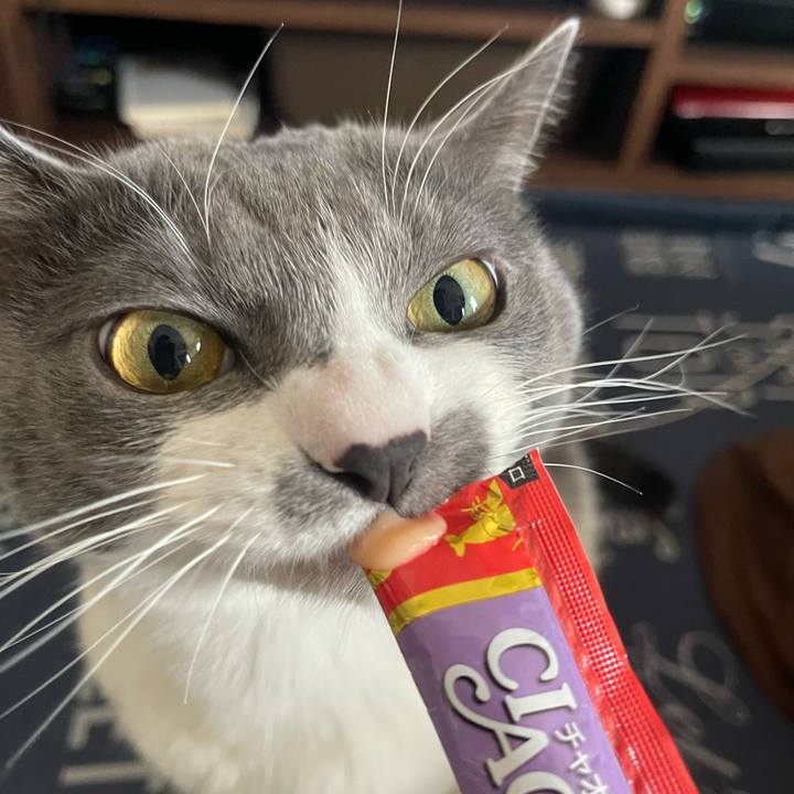 C8ad9073 8e2c 4e9b 9105 5f499915612c 1706856434339