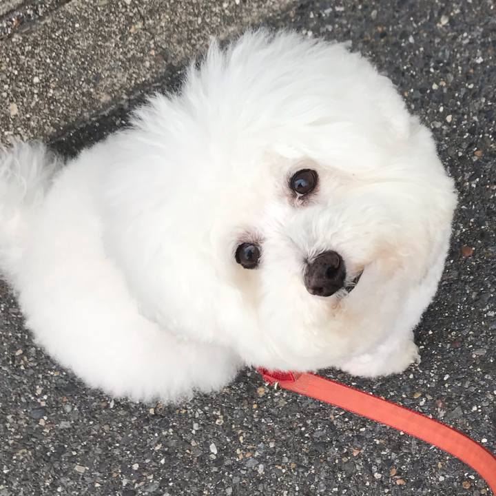 C8adc6ae c03c 41e3 8a21 0a2bac57a458 1590056485071