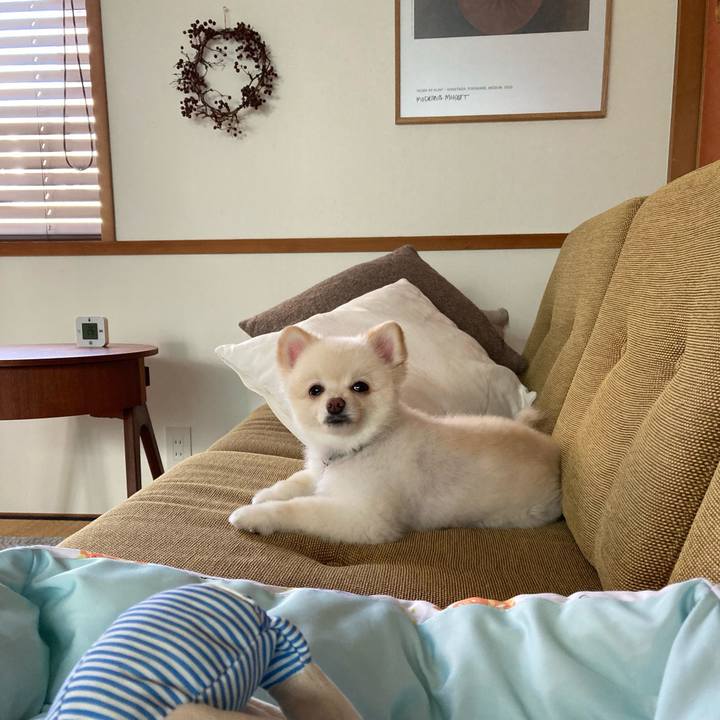 C8adf849 ac8e 4726 8a66 e8afdf9db4fc 1630293283787