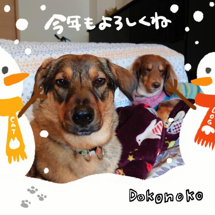 C8ae5e0a e2ff 4a8c 96d0 b2eb739916db 1704161584950