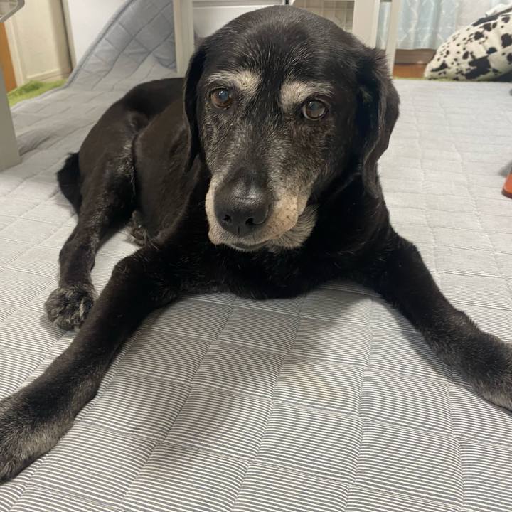 C8ae7063 2771 485d b0e1 7692d3c538c4 1750207130866