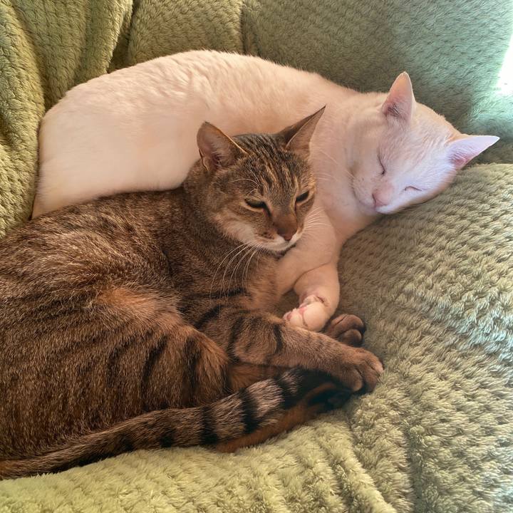 C8ae81dd c468 4521 8326 978d1c187258 1638139338229