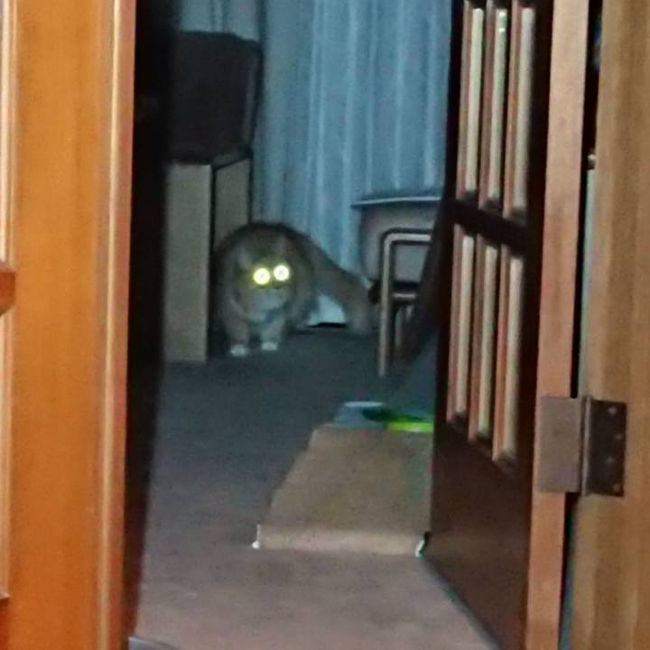 C8ae9a8e 1031 4b57 bd9a f18f76f47419 1568378908457