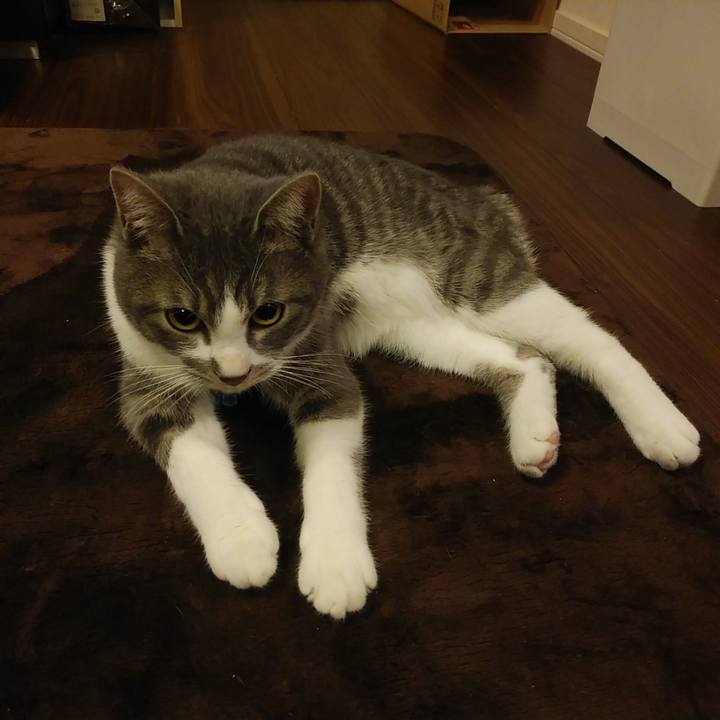 C8aec321 8720 48ea bee4 aea0880568cb 1578396983445