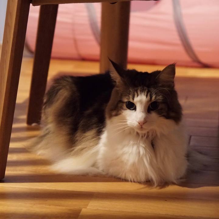 C8af4fca a334 4e88 8bb9 5b8383c30398 1567557154923