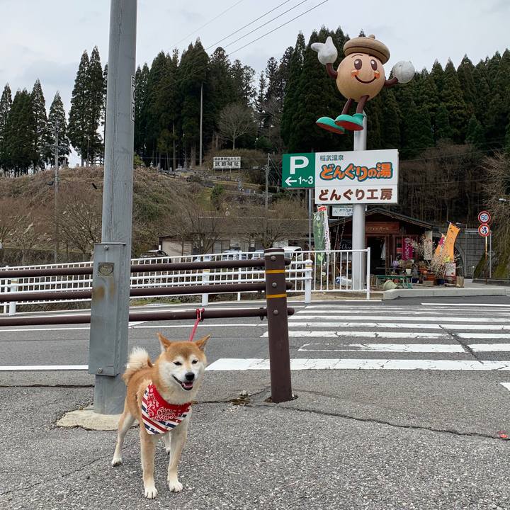 C8af5735 6190 4462 95ef 5dbc335bd70e 1584873464083