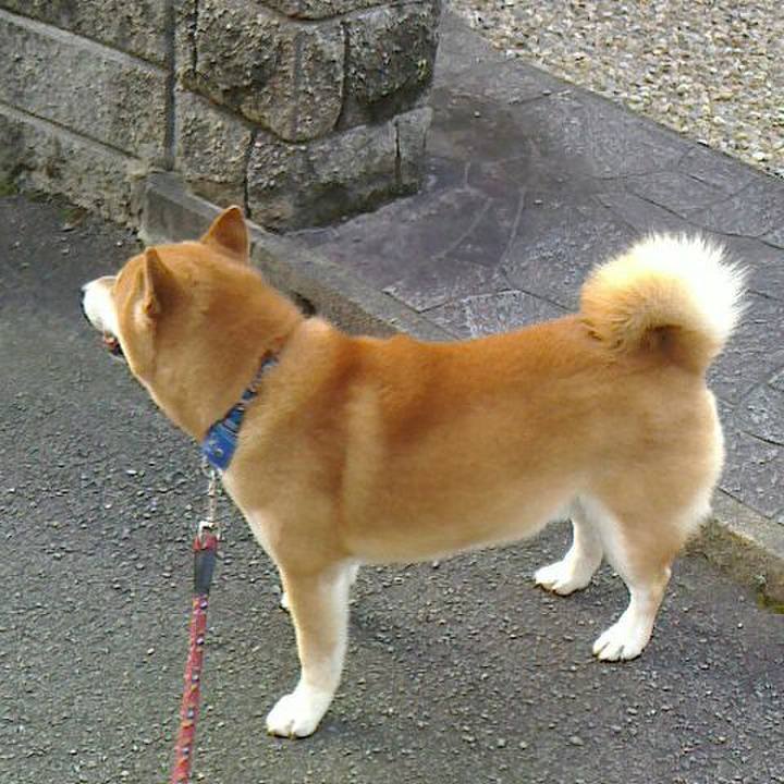 C8afb3c6 7246 437e 90c4 1597f6da0756 1531050323583