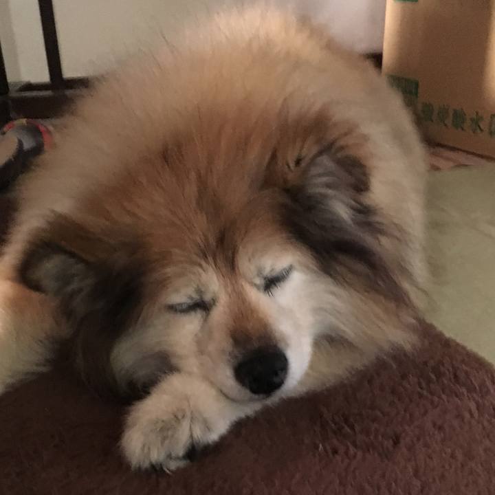 C8afd452 2acc 4a18 935e 5eb077929148 1559257812033