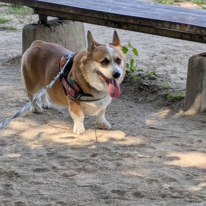 C8afd485 bc64 43f3 a7c6 6b1c43702111 1758528942908