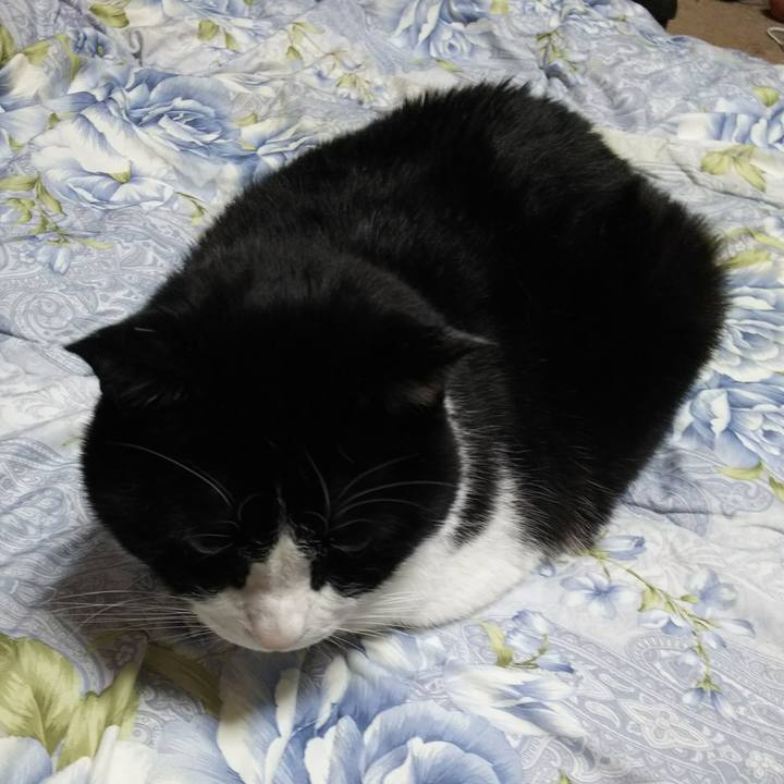 C8afd8f1 5554 47bb a713 98e86a13449a 1545083459105