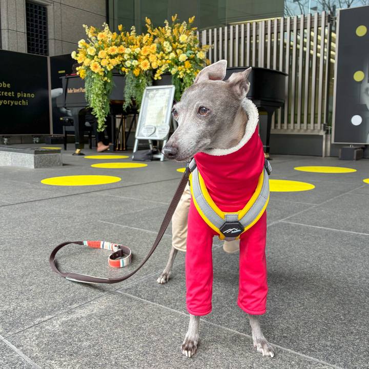 C8afe6c8 5e3c 436e 8f87 8f3a70f6acac 1773745028564