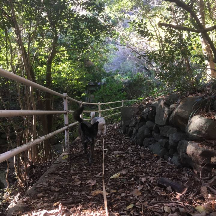 C8b01d9a 86f7 4910 8839 7b3d76e062f3 1546060105710