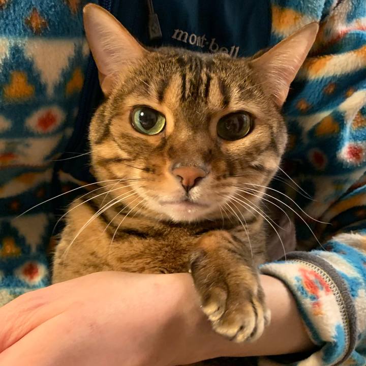 C8b01ecb ef62 4cad b384 9ff52436ec1f 1548798356309