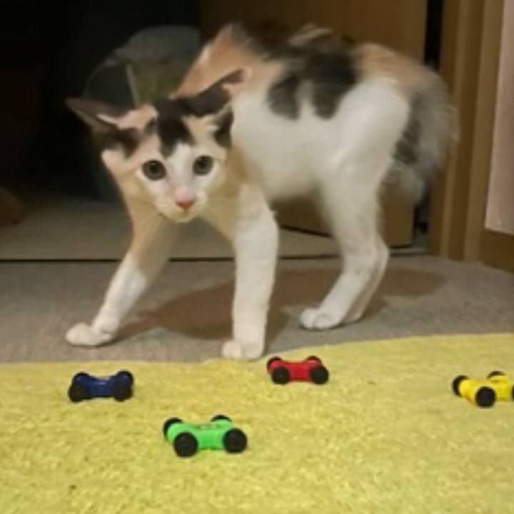 C8b04028 9168 4452 a003 76d11ad19c4f 1752789292641