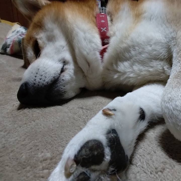 C8b04e8f 0bd1 468b 8bc1 11a9db555826 1703547080133