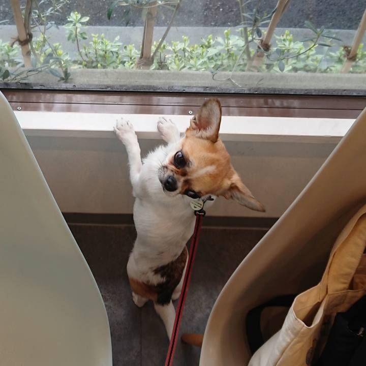 C8b091d2 b85d 4663 8d42 4cae19fd1bb7 1554716166605