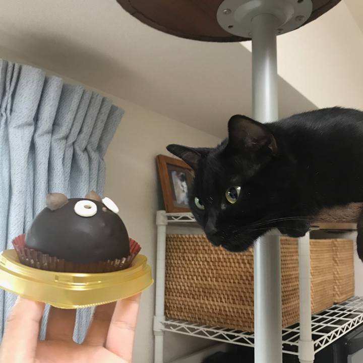 C8b0a42b d629 44d8 83fd 28e253ed2276 1509152343811