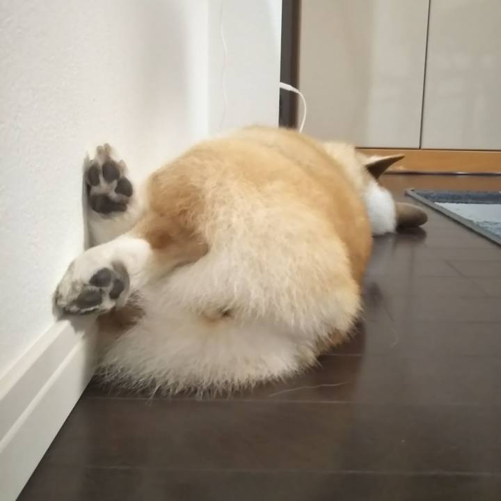 C8b0bbc8 2d40 4efc 9d50 7220e239478d 1596449261563