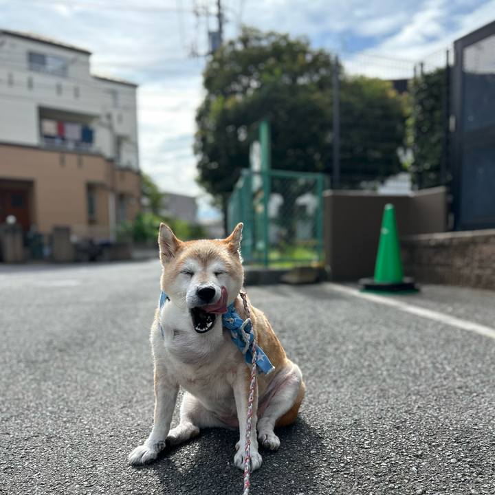 C8b0fb6f 0ff2 4dbf a19d 4ff267fe796e 1755042644564